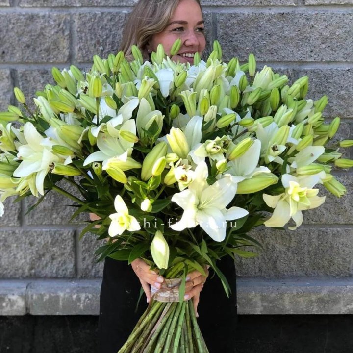 51 лилия в Мурманске