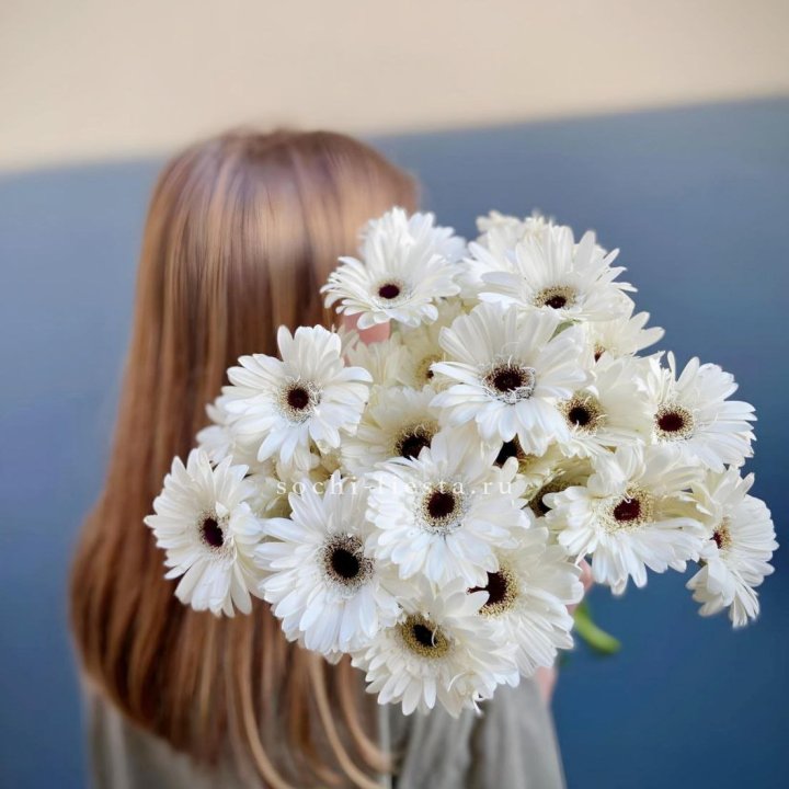 Охапка гербер в Мурманске