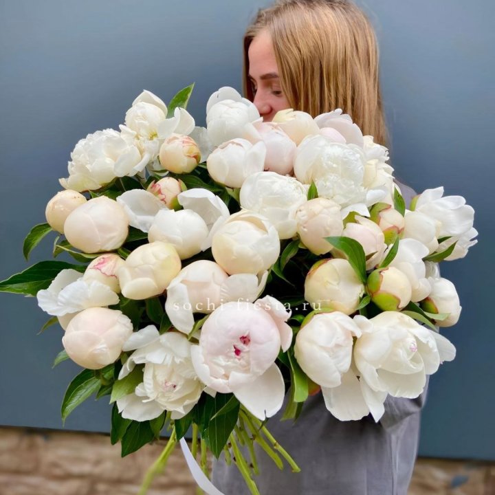 Охапка пионов в Мурманске