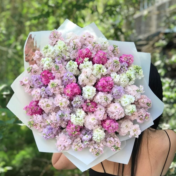 Букет ароматной маттиоллы №3 в Мурманске