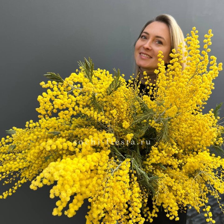 Охапка мимозы №2 в Мурманске