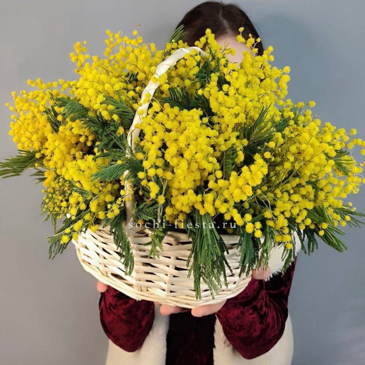 Корзина ароматной мимозы в Мурманске