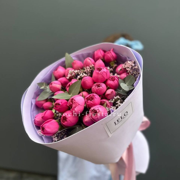 Мисти Баблс  "Кремиси" в Мурманске