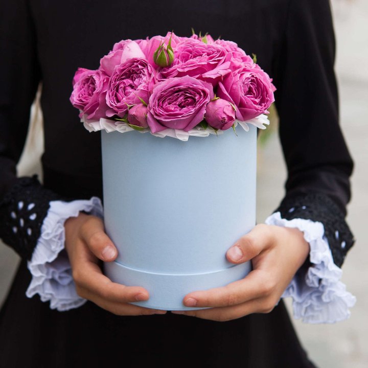 Бокс мини мисти в Мурманске