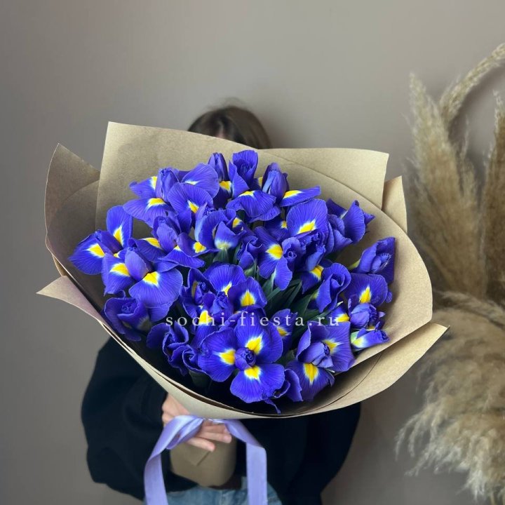 Ирисы в Мурманске