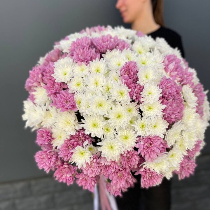  Букет 25 хризантем микс в Мурманске