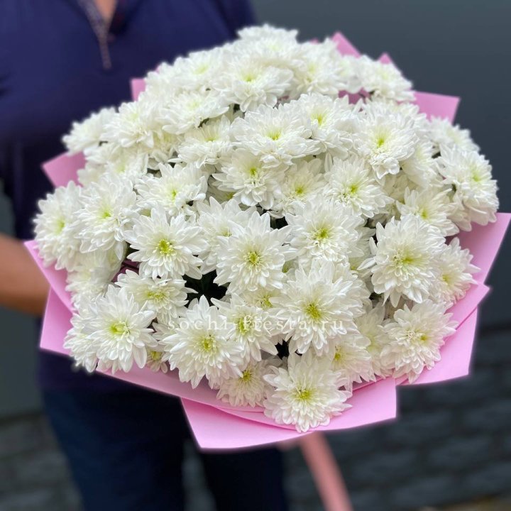  Букет 15 хризантем  в Мурманске
