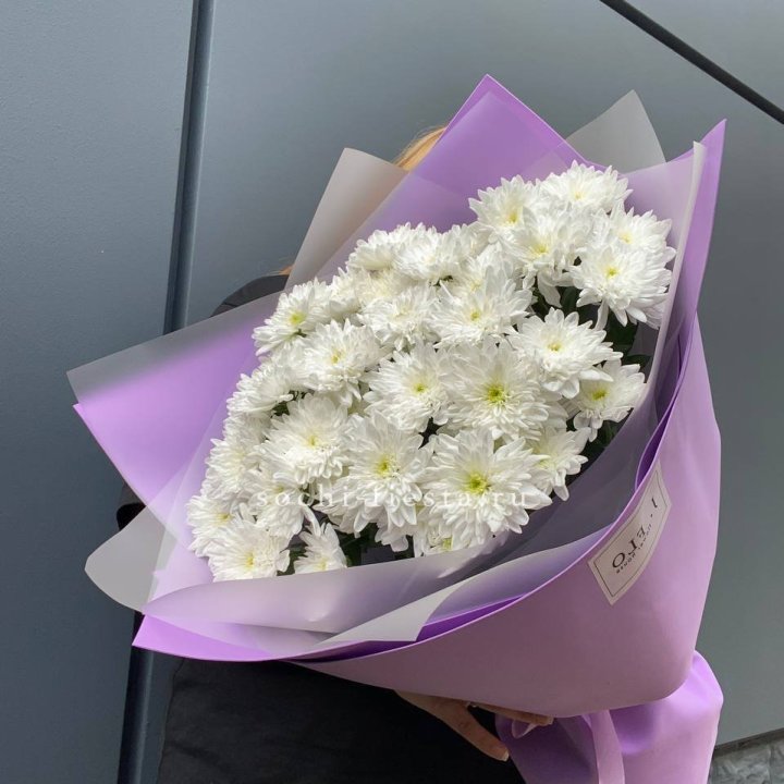  7 хризантем  в Мурманске