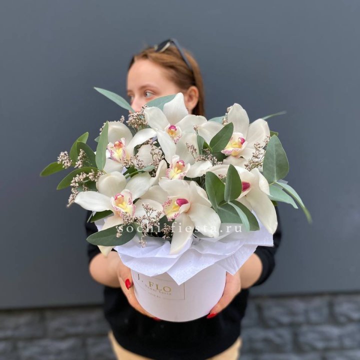 7 орхидей в боксе в Мурманске