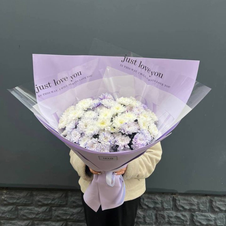 9 воздушных хризантем в Мурманске