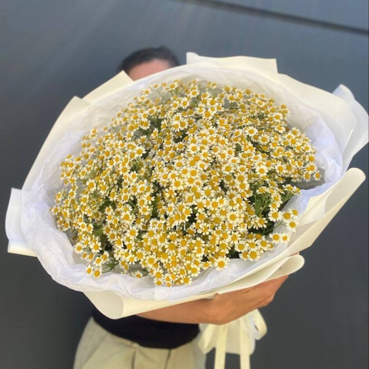 Букет ромашек №2 в Мурманске