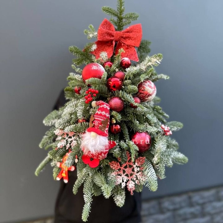 Новогодняя елочка "Ред" в Мурманске