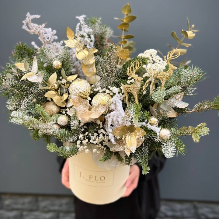 Золотой бокс с нобилисом в Мурманске