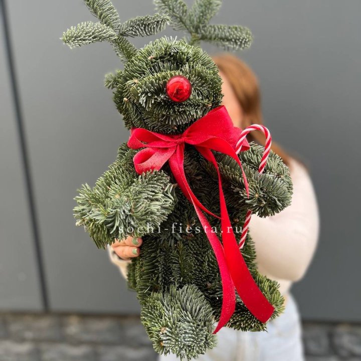 "Олень" из нобилиса в Мурманске