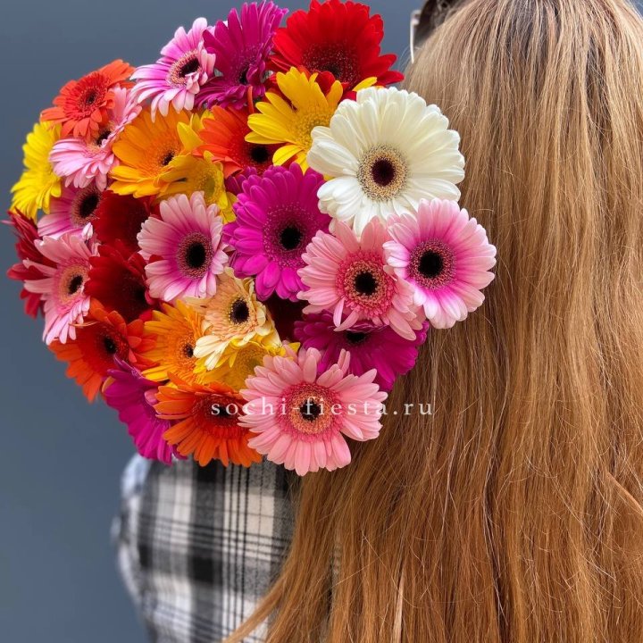 Охапка гербер  в Мурманске