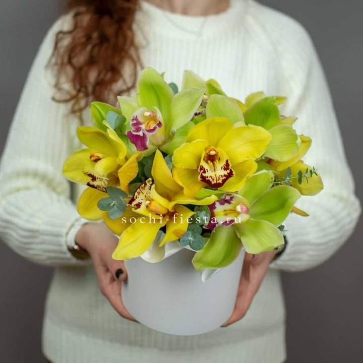 Бокс с орхидей №1 в Мурманске