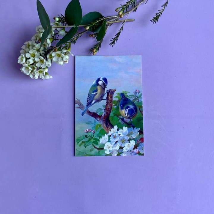 Открытка к букету "Птицы" в Мурманске