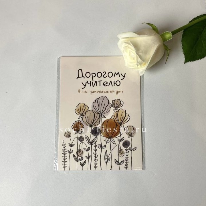 Открытка к букету "Дорогому учителю" в Мурманске