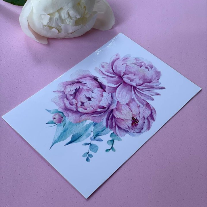 Открытка к букету "Пионы" в Мурманске