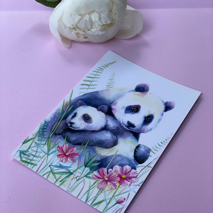 Открытка к букету "Объятие Панды" в Мурманске