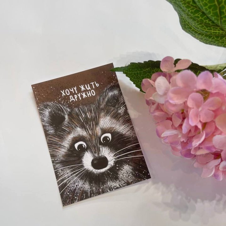 Открытка к букету "Енотик" в Мурманске