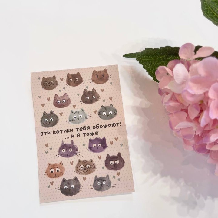 Открытка к букету "Котики" в Мурманске