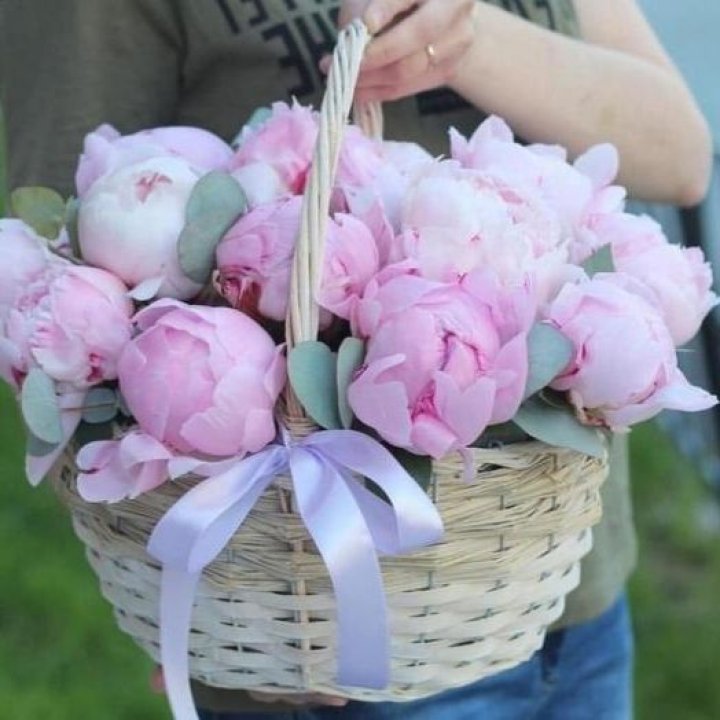 15 пионов в корзине в Мурманске