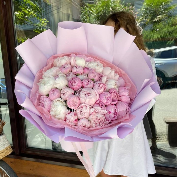 51 розовый пион в Мурманске