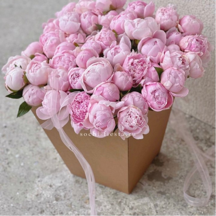 49 пионов в крафт коробке в Мурманске