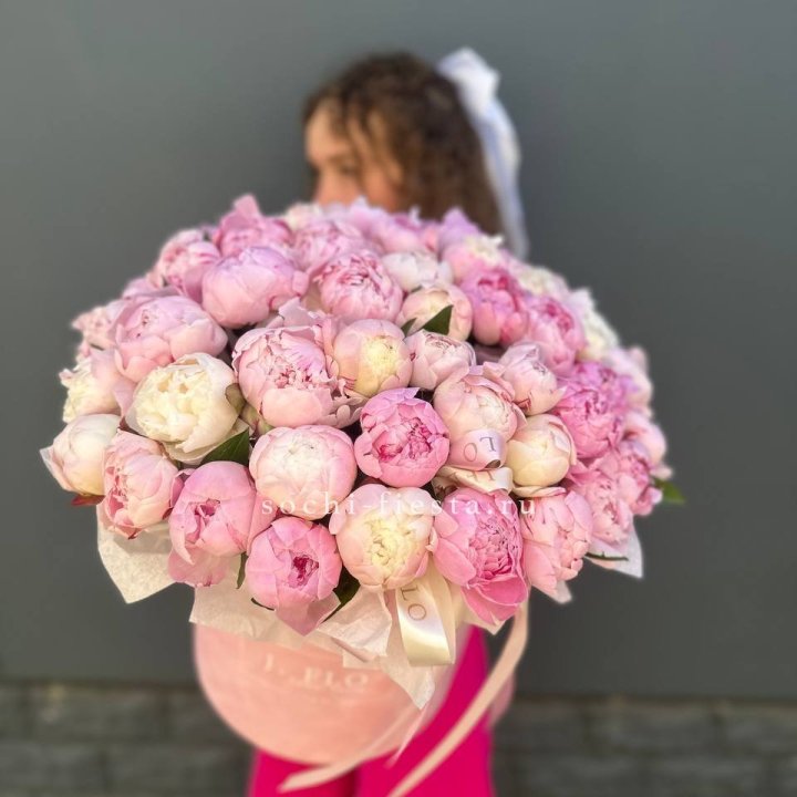 51 нежных пионов  в цилиндре в Мурманске