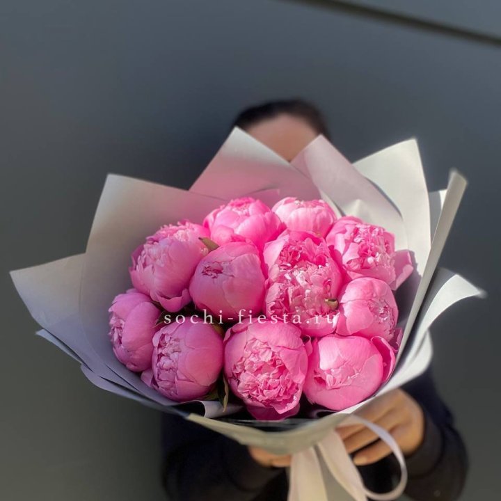 Пионы Алекс флеминг в Мурманске