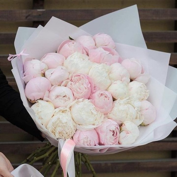 29 пионов в Мурманске