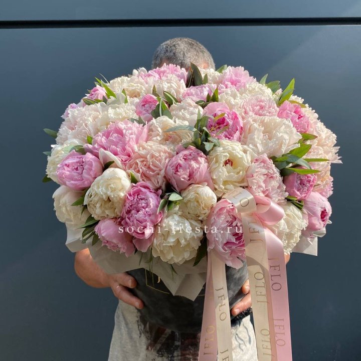 51 пионов в боксе в Мурманске