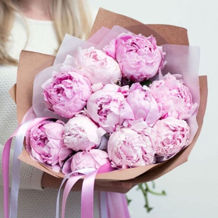 11 нежных пионов в Мурманске