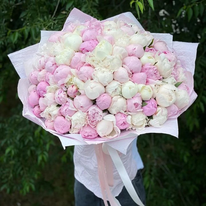 101 пион в Мурманске