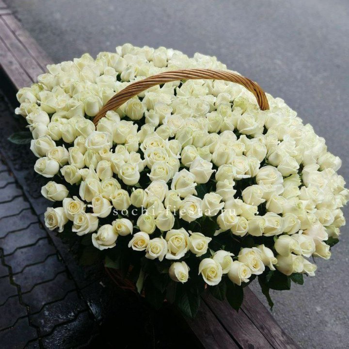 303 розы в корзине в Мурманске