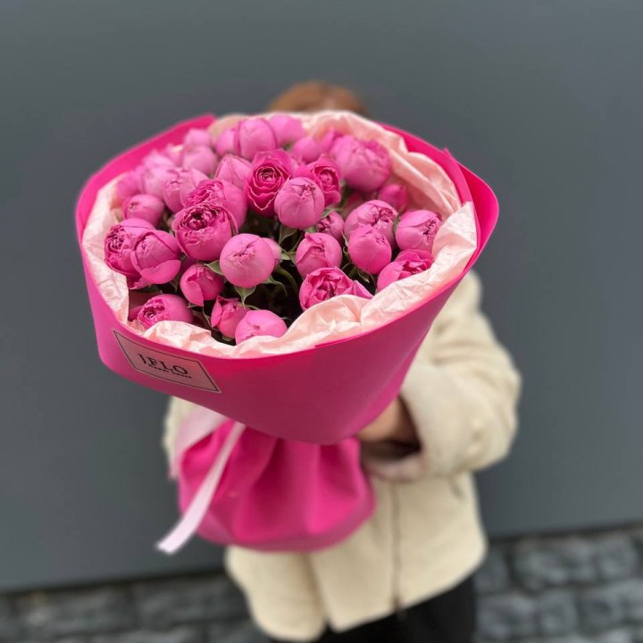 11 мисти баблс в Мурманске