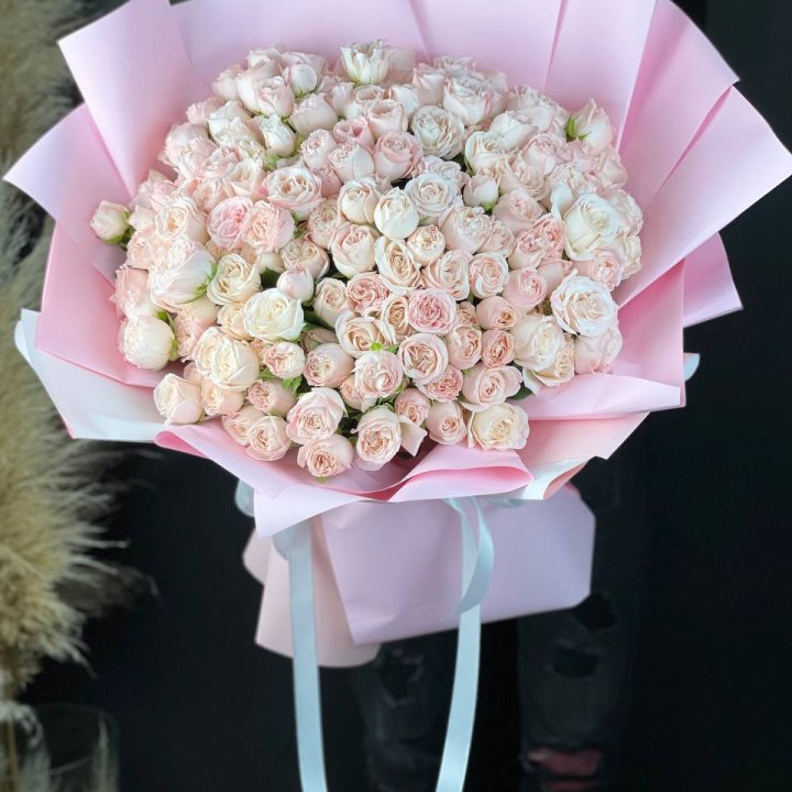 51 бомбастик  в Мурманске