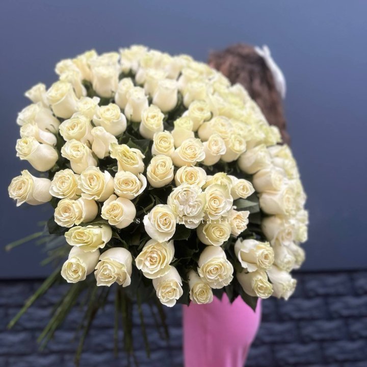 101 белая высокая импортная роза под ленту в Мурманске