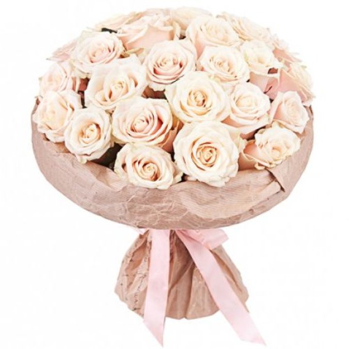 25 кремовых роз "Craft" в Мурманске
