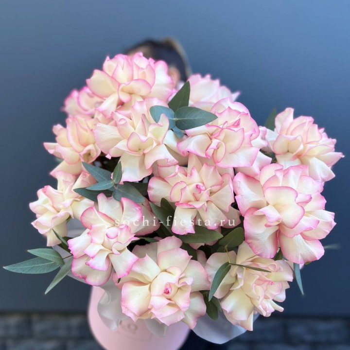 15 Французских роз Джумилия в боксе в Мурманске