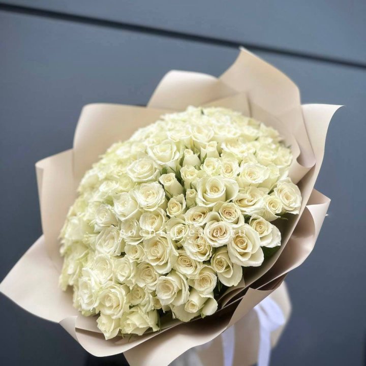 101 белая роза Атена в Мурманске