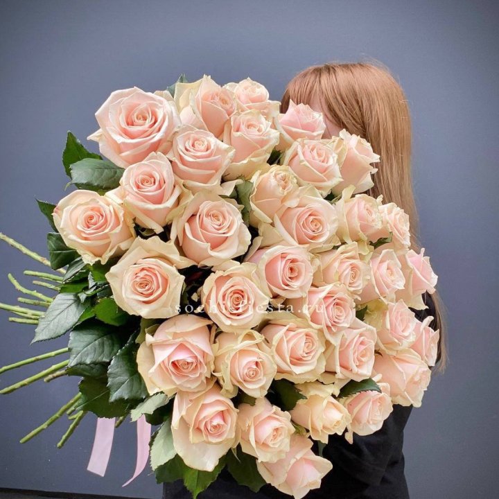 35 кремовых высоких роз в Мурманске