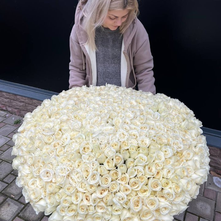 501 белая роза в корзине в Мурманске