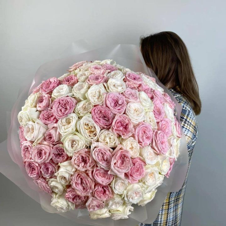 101 роз Охара в Мурманске