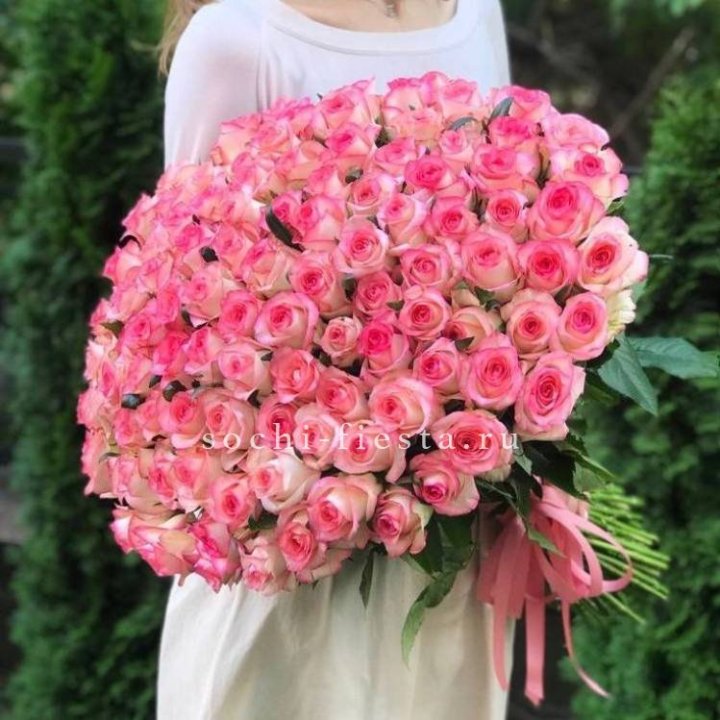 101  джумилия роза  в Мурманске