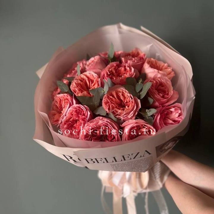 15 Пинк экспрешен в Мурманске