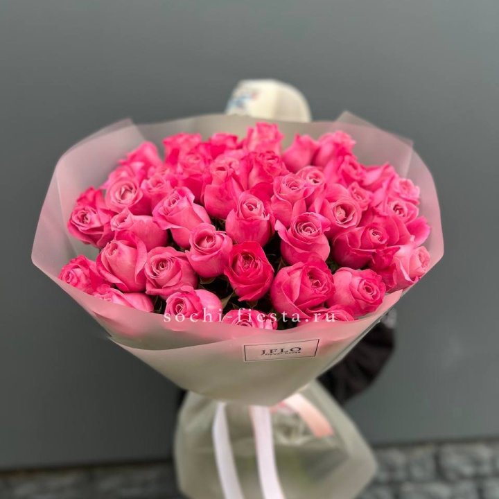 Роза малиновая в Мурманске