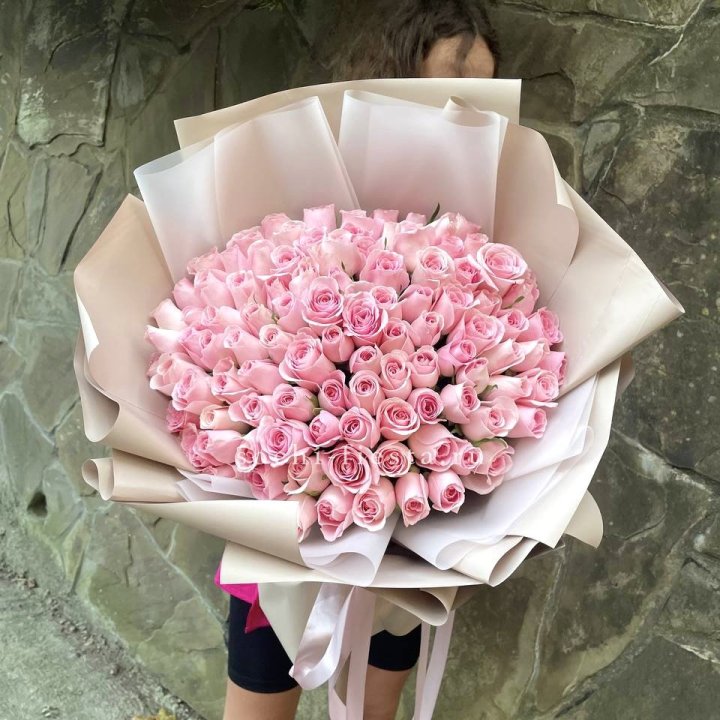 101 нежно-розовая роза Каролина  в Мурманске