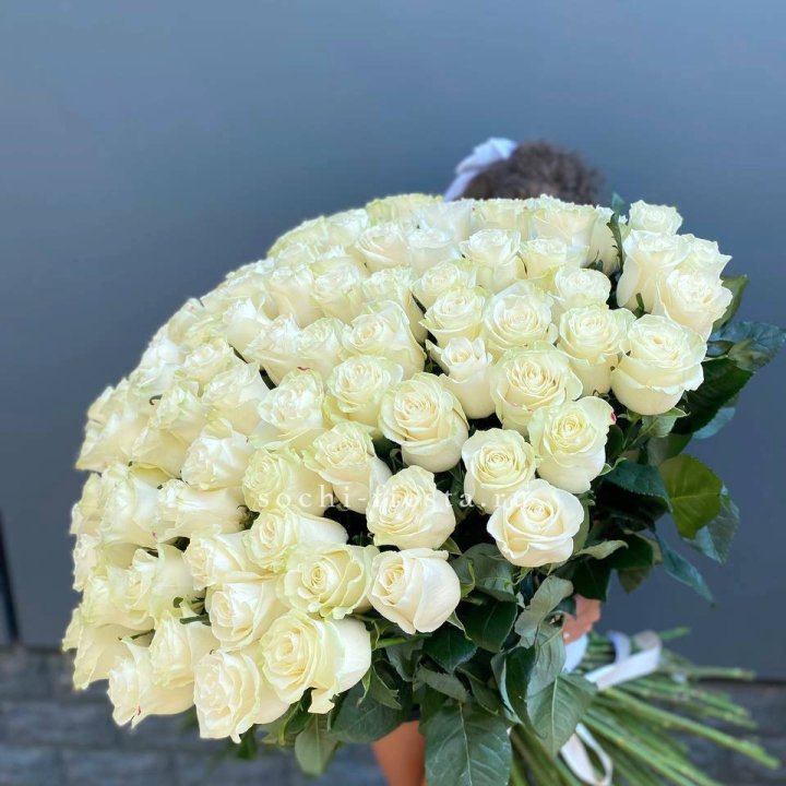 101 белая высокая роза в Мурманске